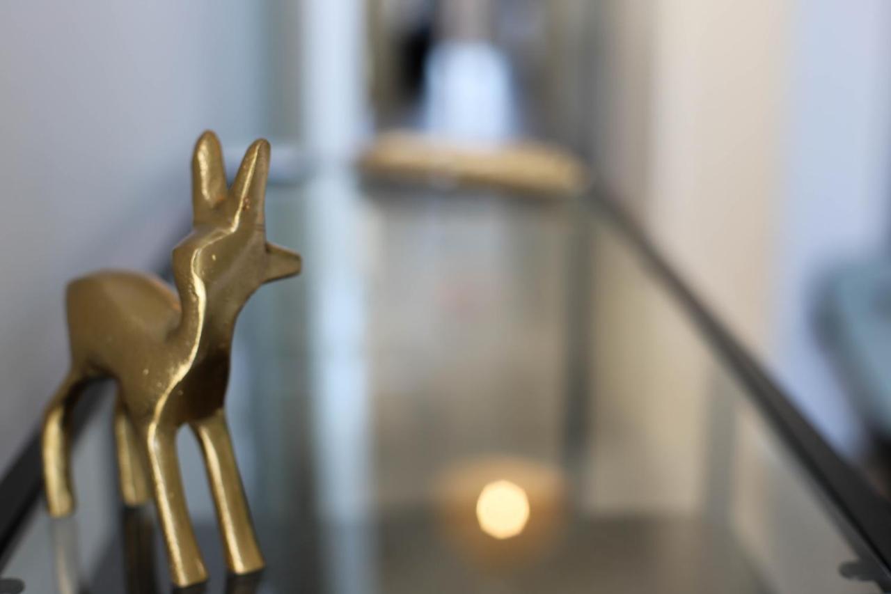 Les Choucas - Appartement Duplex Lumineux Avec Parking Annecy Eksteriør bilde